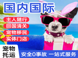 西安航空托运国际宠物托运 【国